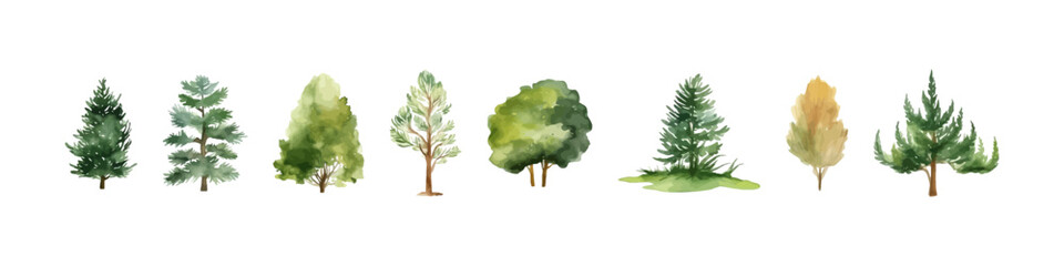 Wall Mural - Watercolor tree vector collection. Forest illustration element. Woodland pine trees.