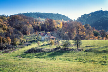 Wall Mural - colorful autumn view with a small farm house, green meadow and colorful forest in dinaric alps, near