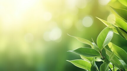 Leinwandbilder - Beautiful nature view of green leaf on blurred greenery background in garden and sunlight with copy space using as background natural green plants landscape, ecology, fresh wallpaper concept.