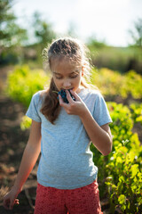 Wall Mural - The cute caucasian girl tastes freshly picked grapes with pleasure. wearing a gray t-shirt with long hair