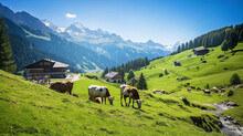 Beautiful Alps landscape with village,  green fields and cows at sunny day. Swiss mountains at the background. 