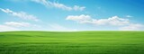 Fototapeta Kuchnia - Green grass field agains the blue cloud sky, Generative AI
