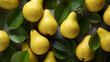 Background of pears with waterdrops top view photo