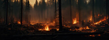 Devastation And Regrowth: A Fiery Forest's Tale, Forest Filled With Lots Of Trees And Flames, Panorama Banner 