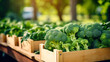 © Alex - Fresh green broccoli in wooden box on blurred background, close-up