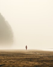 Isolated Person Walking Alone In The Beach Covered By Dense Mist