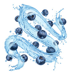 Wall Mural - blueberries falling with water splashes isolated on white background
