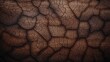 Old bark texture
