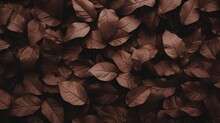Brown Plant Leaves In Autumn Season, Brown Background