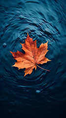 Wall Mural - Autumn maple leaf on water surface with ripples. Copy space.