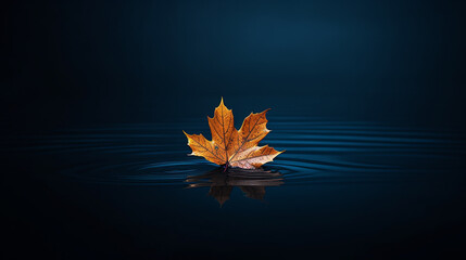 Wall Mural - Autumn maple leaf on water surface with ripples. Copy space.