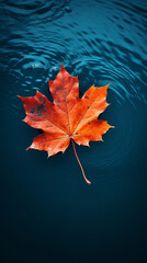 Wall Mural - Autumn maple leaf on water surface with ripples. Copy space.
