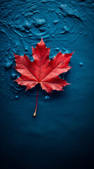 Wall Mural - Autumn maple leaf on water surface with ripples. Copy space.