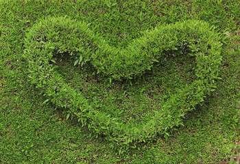 Wall Mural - green heart made from ornamental plants