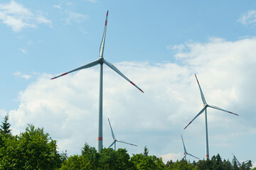 Wall Mural - Wind turbines rise above the forest against a blue cloudy sky