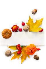 Wall Mural - pumpkin, acorns, red berries and autumnal colorful maple leaves with white paper card note with spac