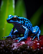 A vibrant blue poison dart frog in a lush forest floor setting, covered in dew drops, cool ambient light, shallow depth of field