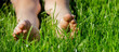 Children's legs on green grass. Selective focus.