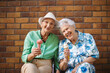 © Halfpoint - Portrait of two senior female friends in the city, eating ice cream on a hot summer day. Elderly ladies on summer vacation in the city. Concept of senior vacation and travel groups, clubs.