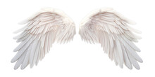 White Angel Wings Isolated On Transparent Background PNG