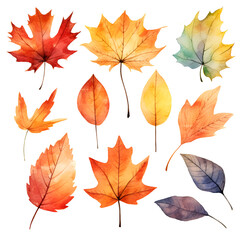 Wall Mural - collection of autumn watercolor leaves on a white background.