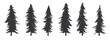 Detailed vector trees - Collection of tree designs in the style of fir and pine. Flat design silhouette in black colour on white background