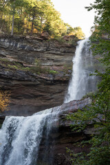 Poster - Waterfall in the woods 