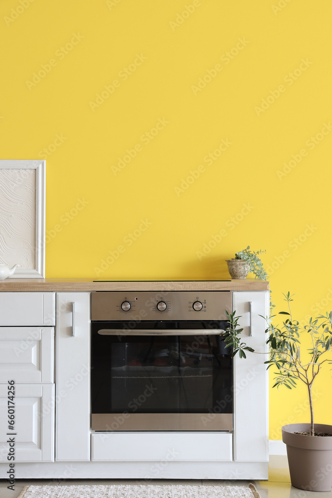 Electric oven and houseplants in interior of modern kitchen
