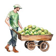 Worker man with wheelbarrow full of apples, isolated