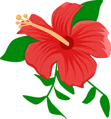 Wall Mural - flower nature red hibiscus