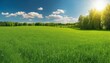 © ibreakstock - Spring summer background featuring beautiful panoramic natural landscape of green field with grass against blue sky with sun