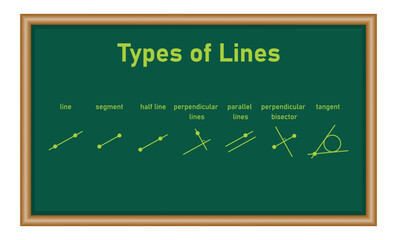 Poster - Types of lines. Line,segment, half line, perpendicular lines, parallel lines, perpendicular bisector and tangent. Vector illustration isolated on chalkboard.