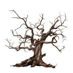 Wall Mural - Dead tree for Halloween decoration on transparent background PNG