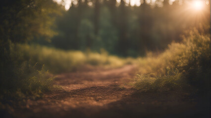 Wall Mural - Dirt road through the forest at sunset. shallow depth of field
