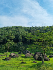 Canvas Print - This is a dolmen park in Jeolla-do, South Korea.