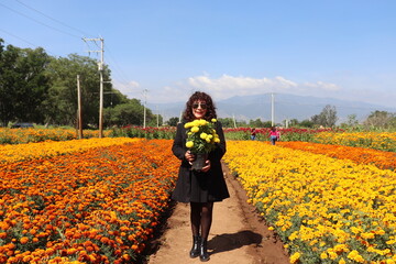 girl in a field of yellow cempasuchil marigold