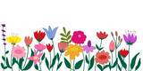 Fototapeta Kuchnia - colorful flowers Painting flowers on a white background to add decorative text to a banner.