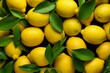 Overhead shot of ripe lemons for lemonade, depicting citrus fruit idea. Generative AI