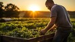 Man in a rural field with a vegetable box at sunset represents country life food production