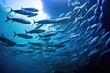 a shoal of fish swimming in synchrony