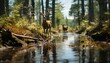 Deers in the forest. Deer in a green forest with a lake. Deer in a lake. Spring time forest with wildlife in it. Deers. Wildlife in the woods