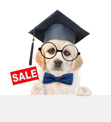 Poster - Clever Golden retriever puppy holds signboard with labeled 