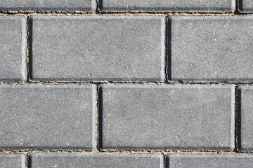 Wall Mural - Gray brick pavement texture. Even blocks pattern. Brick flooring. Outdoor sunny texture. Walkway background. Brick pattern. Closeup construction. Empty copy space blocks.