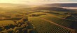 Sunrise drone film of Bordeaux Vineyard and forest in autumn Entre deux mers from an aerial perspective With copyspace for text
