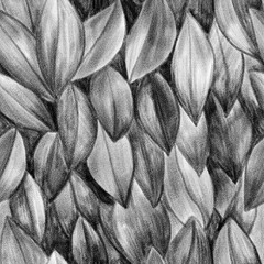 Seamless leaf pattern. Elements drawn by hand with graphite pencils. Black and white sketch. Design of wallpaper, fabric, textiles, clothing, packaging.