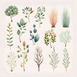 cute bushes collection on white background with margins watercolor soft boho colors 