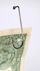 Wall Mural - Dollar on a fishing hook isolated on white background vertical video