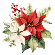 Watercolor Christmas Poinsettia Flower Isolated Clipart