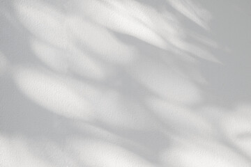 Aufkleber - Light and shadow of leaf abstract grey background. Natural shadows and sunshine diagonal refraction on white concrete wall texture. Shadow overlay effect for foliage mockup, banner graphic layout