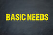 Basic needs	